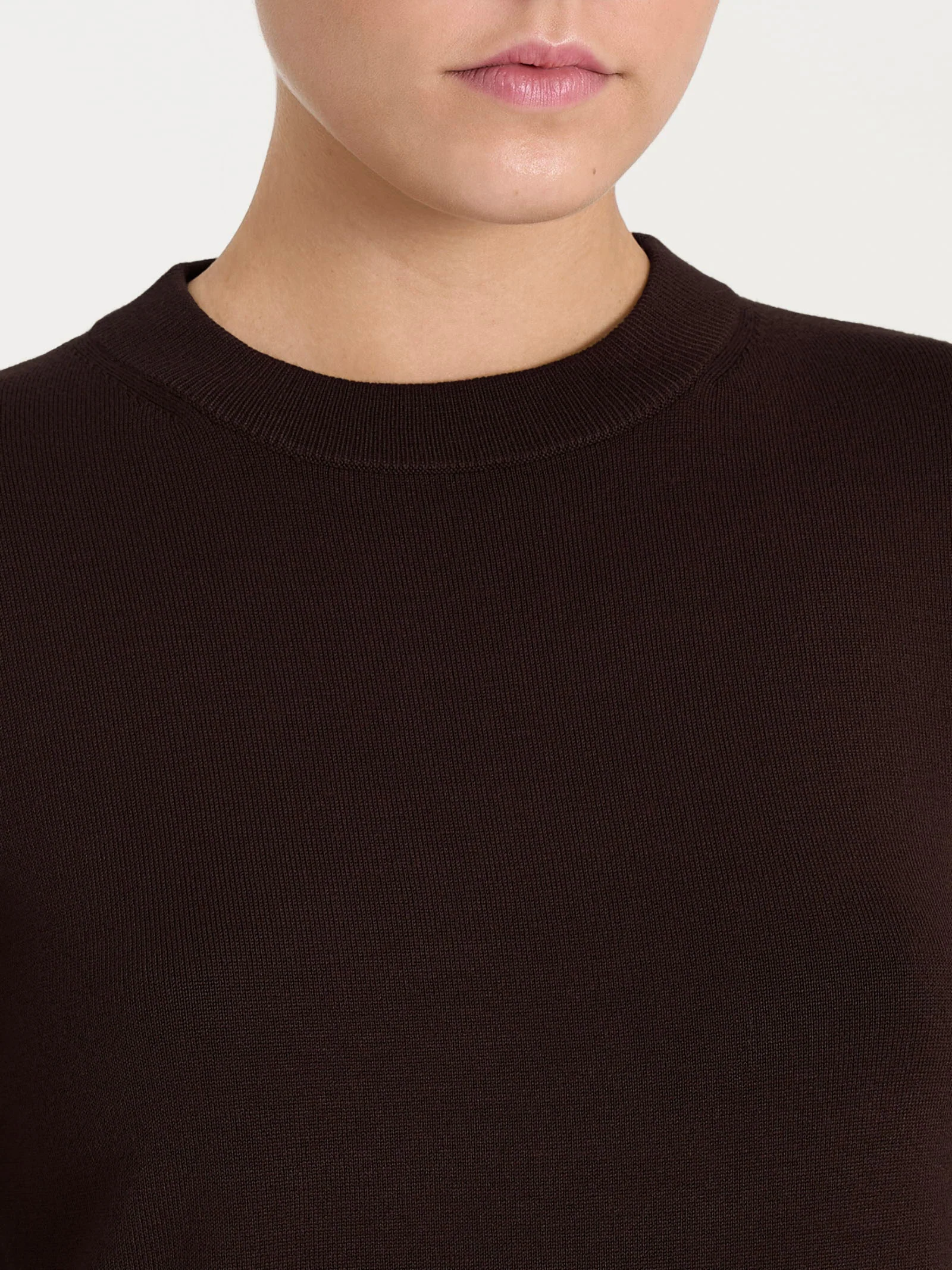 Maglia girocollo Four Seasons - Chocolate Torte - Image 3