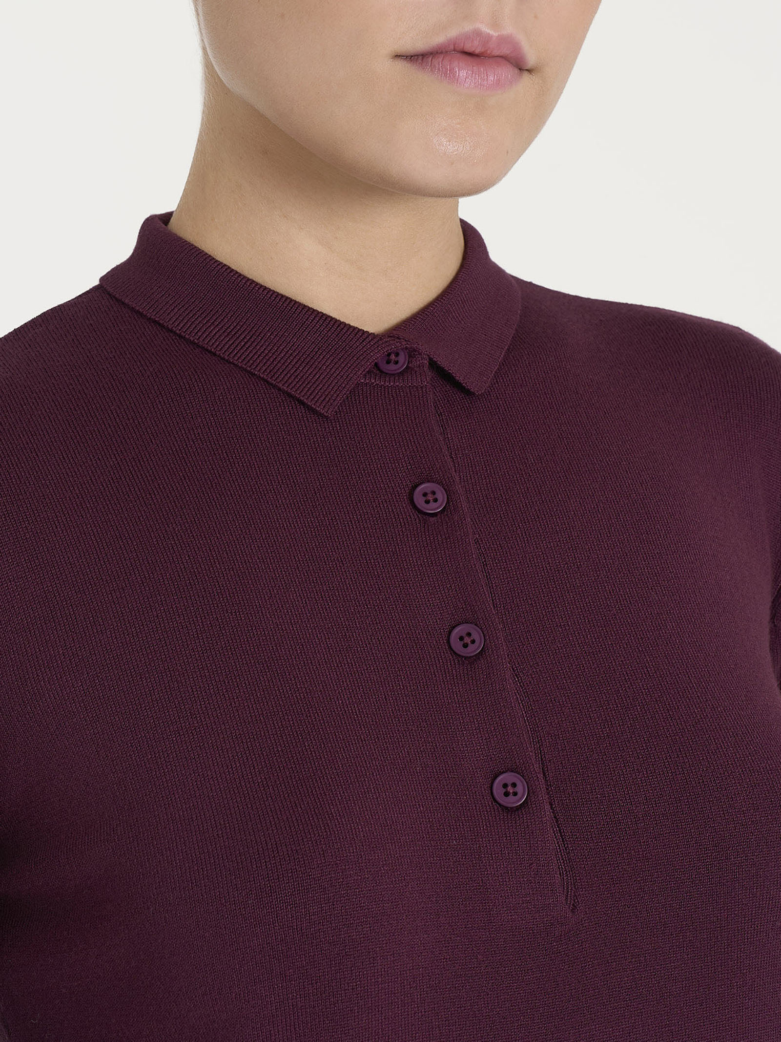 Polo Four Seasons - Fig - Image 3