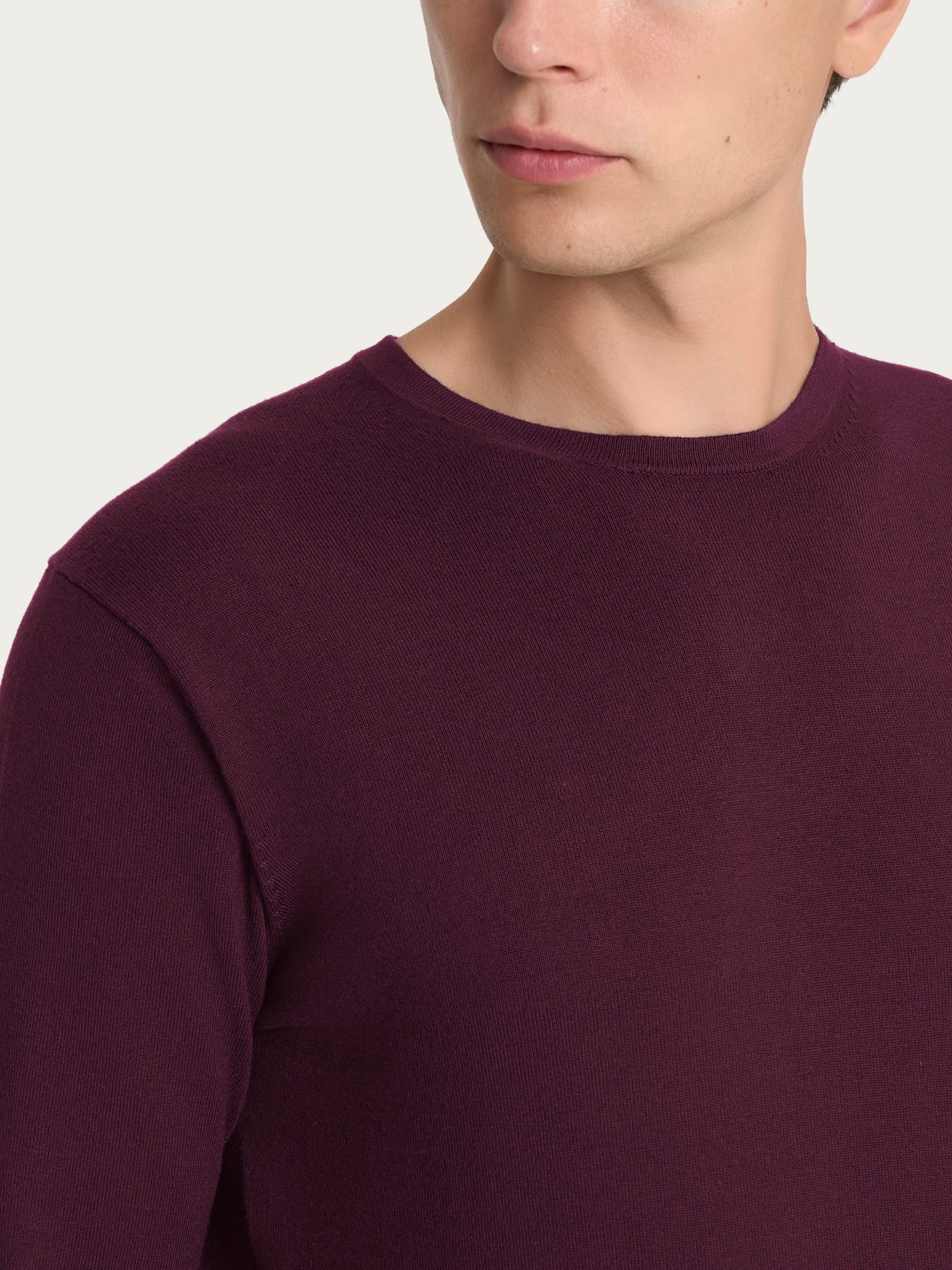 Pull girocollo Four Seasons - Fig - Image 3