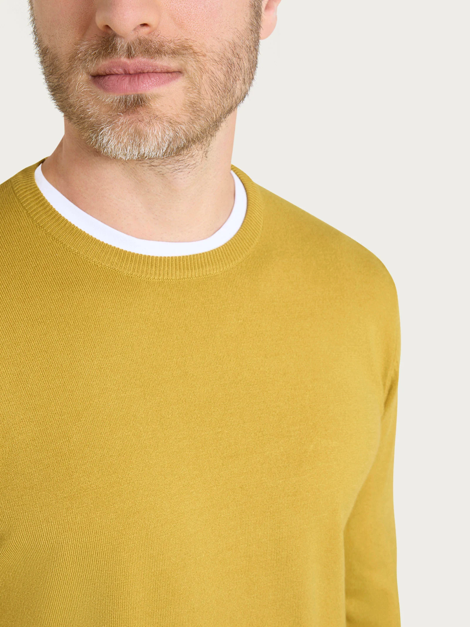 Pull girocollo Four Seasons - Oil Yellow - Image 3
